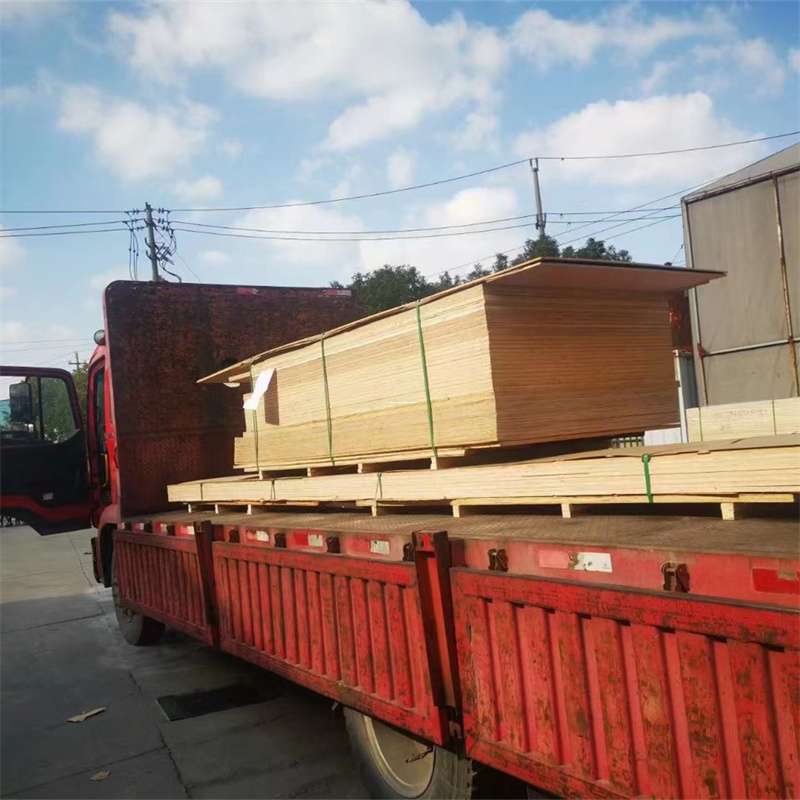 三亚到河北物流公司——一站式服务，让货运更便捷